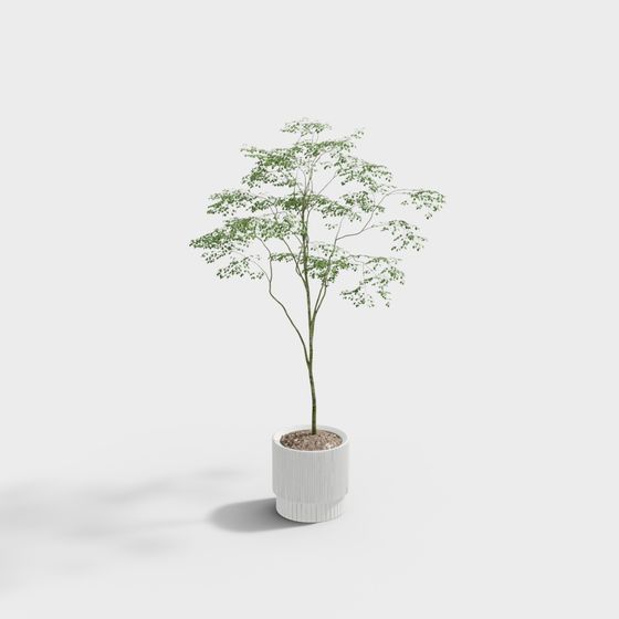 Plante en pot moderne 22-1