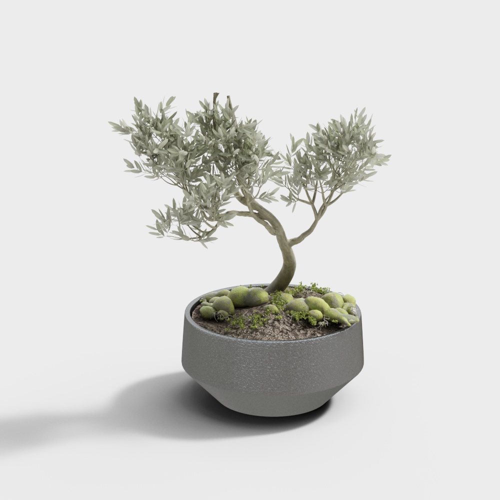 グリーンプランツ