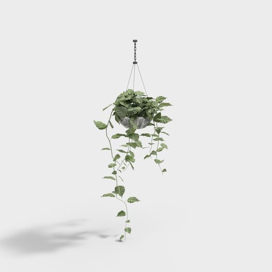 Hanging Plant 3D Model: Perfect Fusion of Nature and Modern Design
