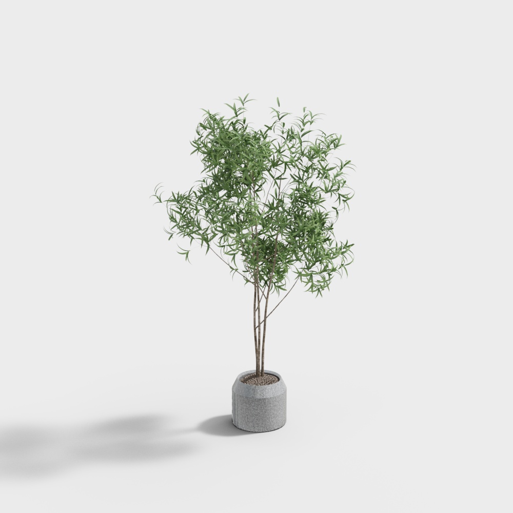 Phòng trà quầy tiếp tân câu lạc bộ SPA phong cách Trung Quốc mới -cây trang trí