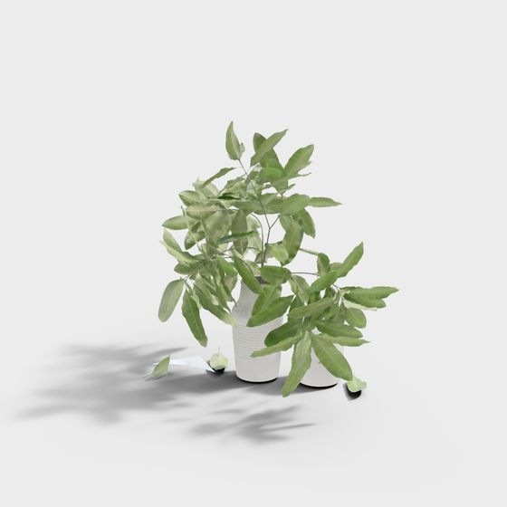 CB-Nordic Kitchen 669807 (1)-9