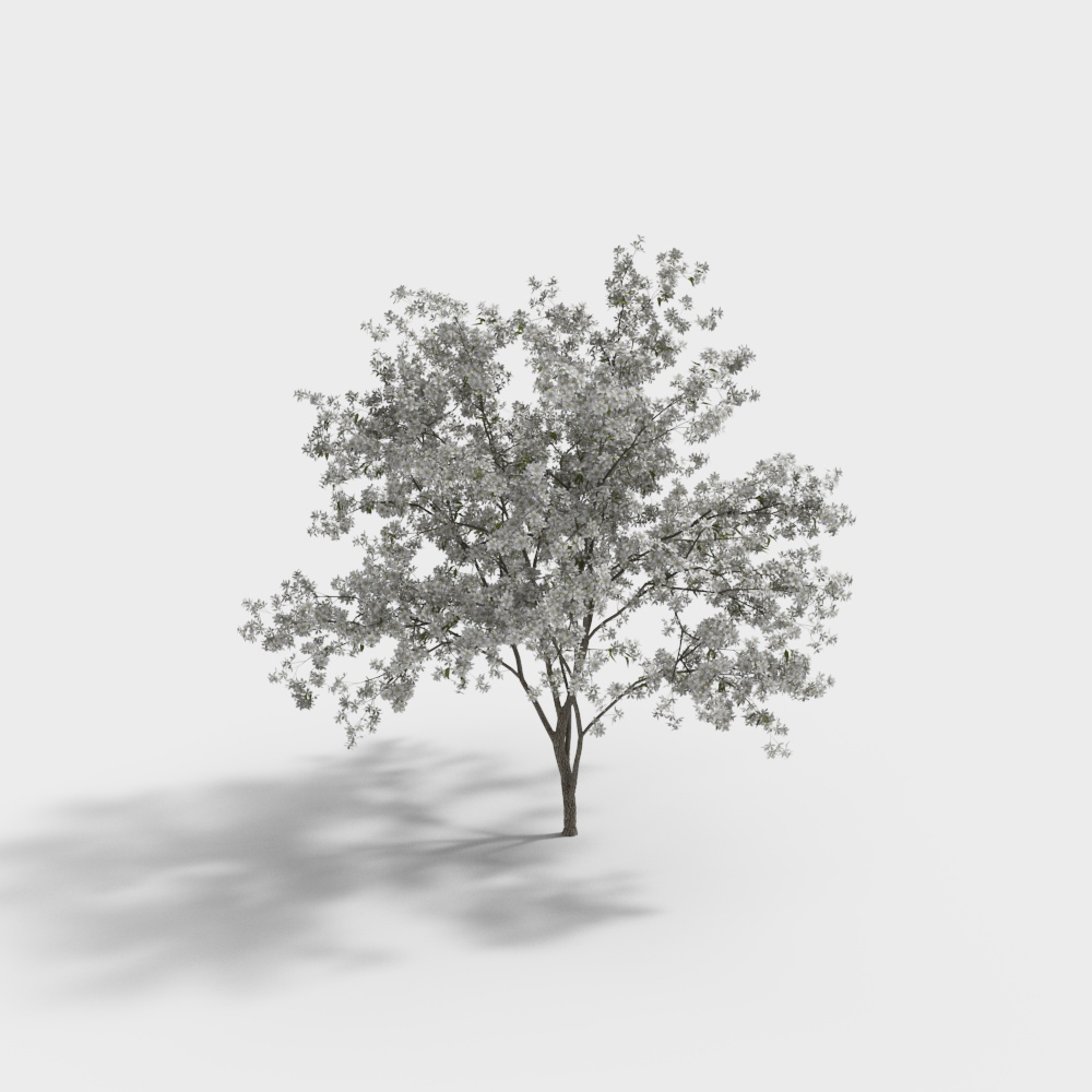 Modern White Flower Tree Landscape Tree-3