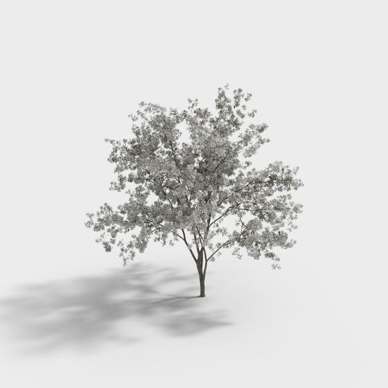 Realistic Cherry Blossom Tree 3D model