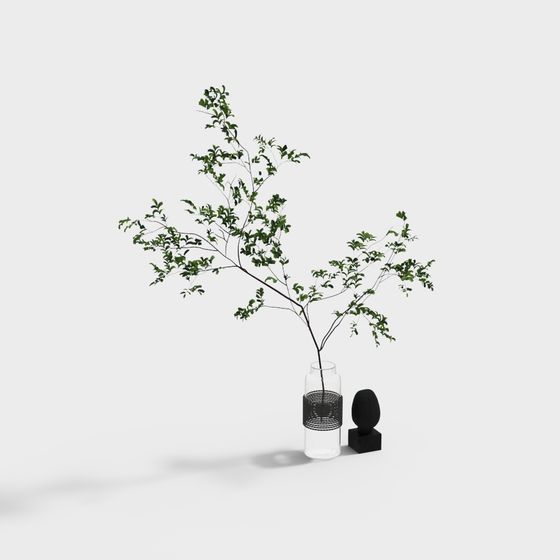 Glass Vase with Green Plant 3D model