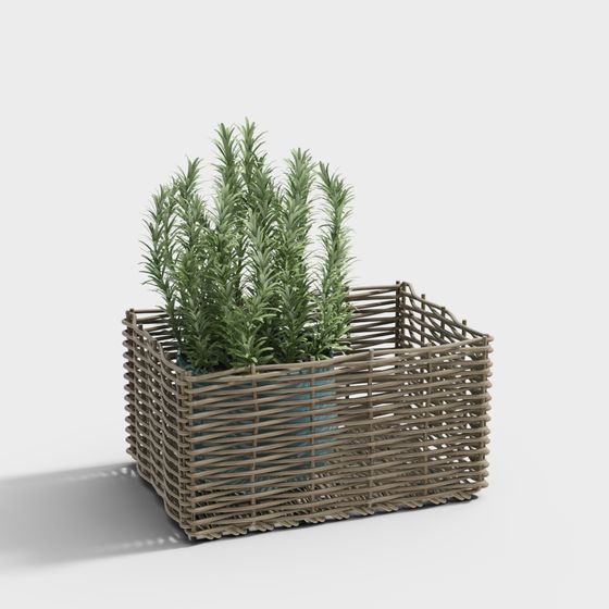 Rattan Basket with Rosemary 3D model for Creative Projects