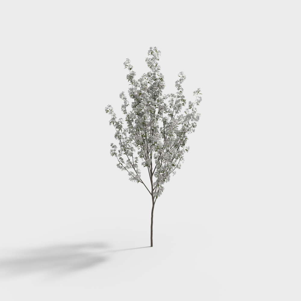 Modern white flower tree landscape tree-2