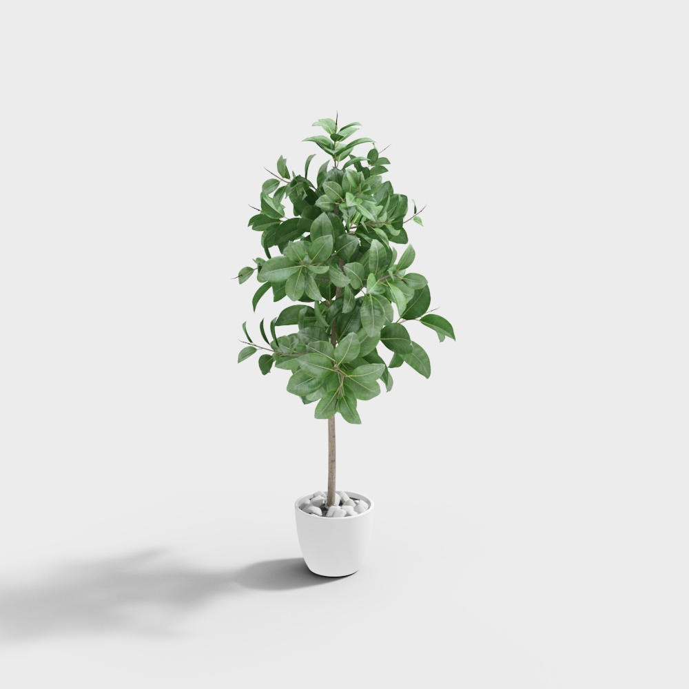 Realistic Indoor Green Plant 3D Model – Low-Poly Design