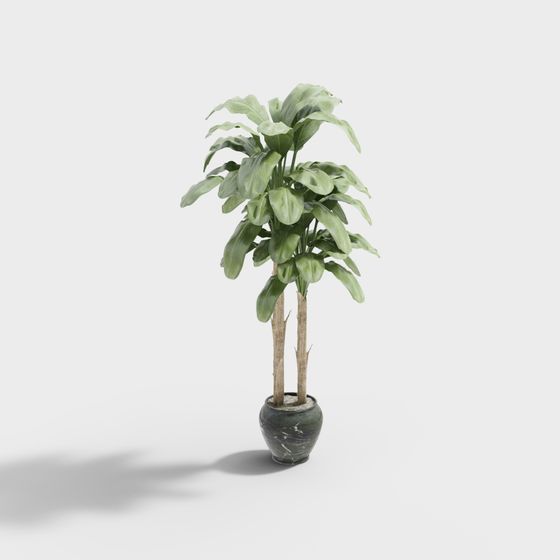 Realistic Indoor Plant 3D model for Designers