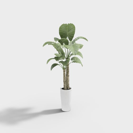 Realistic Indoor Plant Pot 3D model
