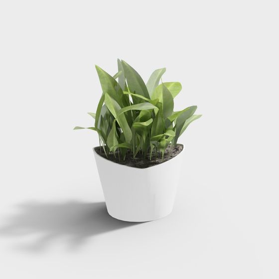 Stylish Indoor Plant 3D Model for Creative Projects