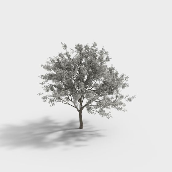Spring Blossom Tree 3D model
