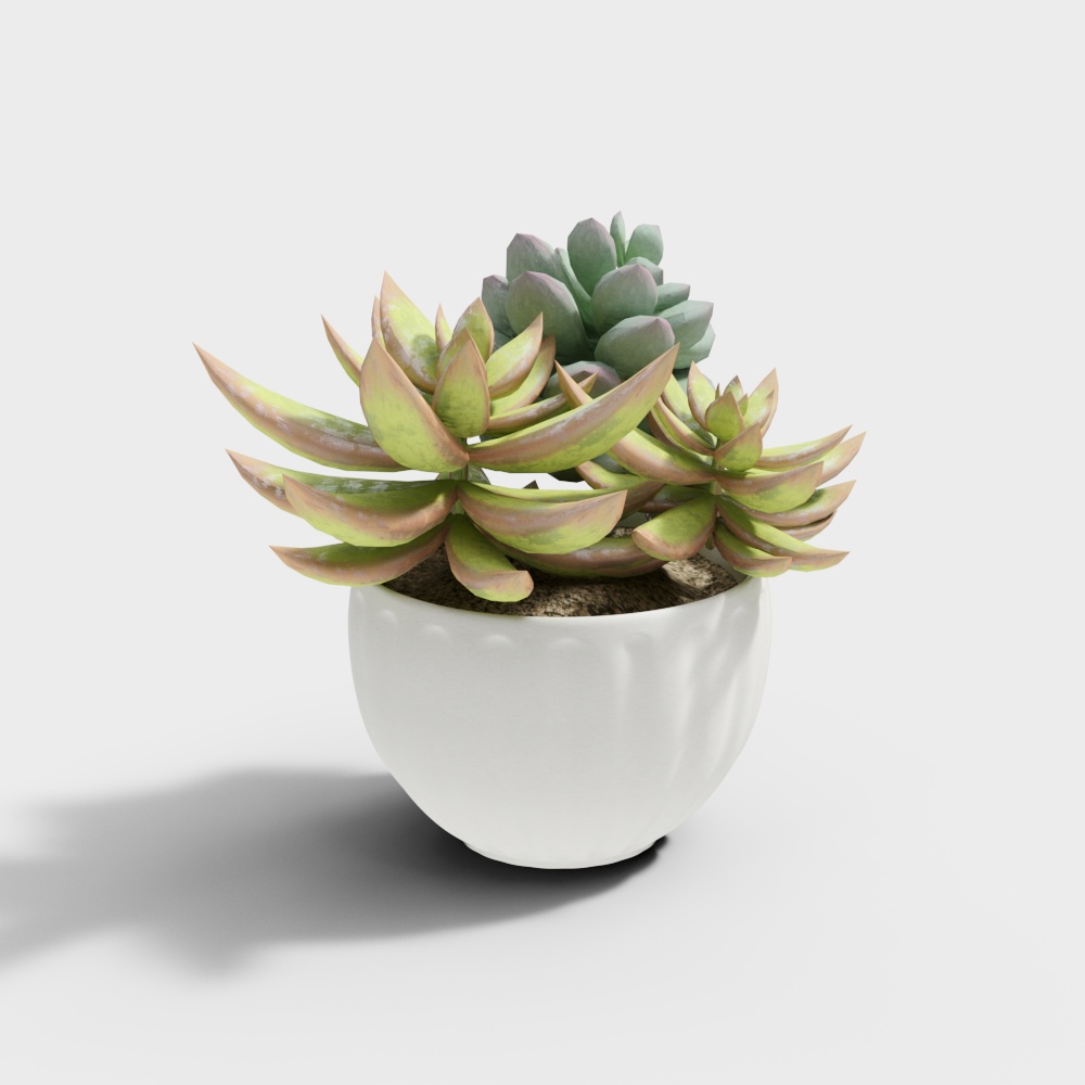 KX-349933 Succulent
