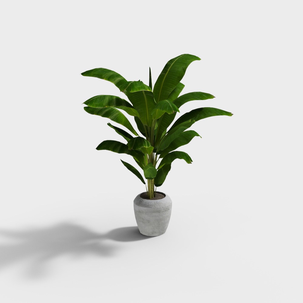 Low Poly Banana Tree 3D Model – Modern Green Foliage