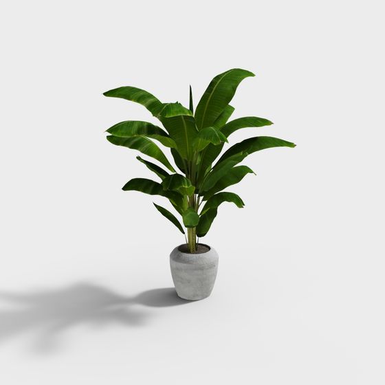 Low Poly Banana Tree 3D Model
