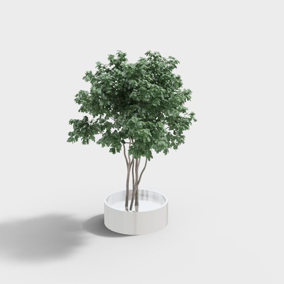 Vibrant Low-Poly 3D Tree Model for Creative Projects
