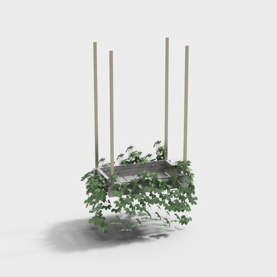 Plantación de macetas