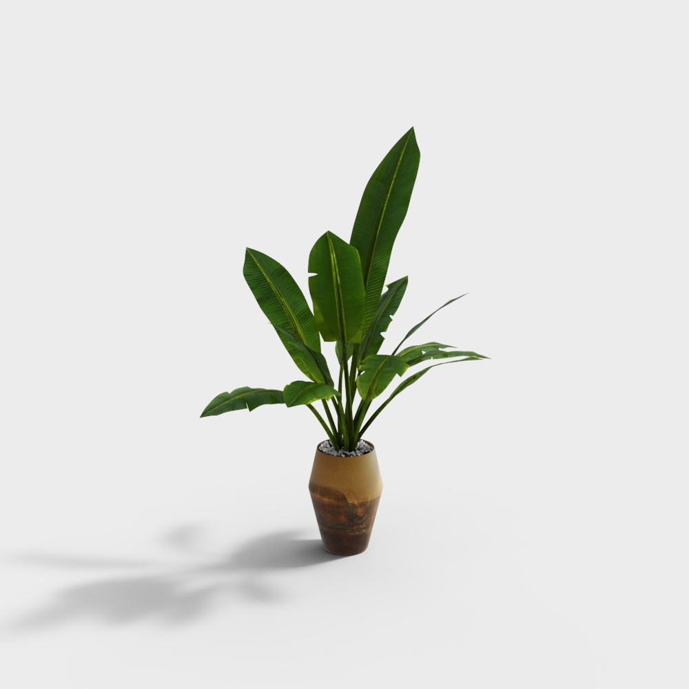 Indoor Potted Green Plant 3D model