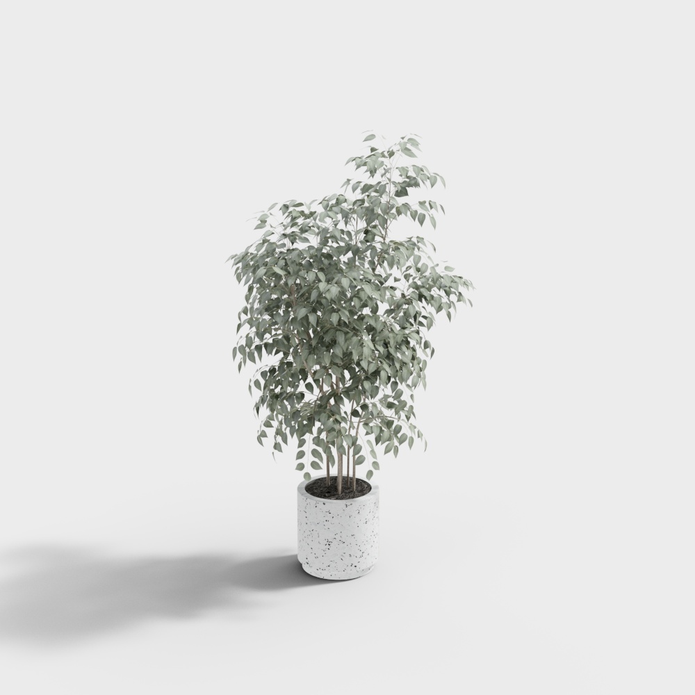 Современное кресло с пуфом и цветком