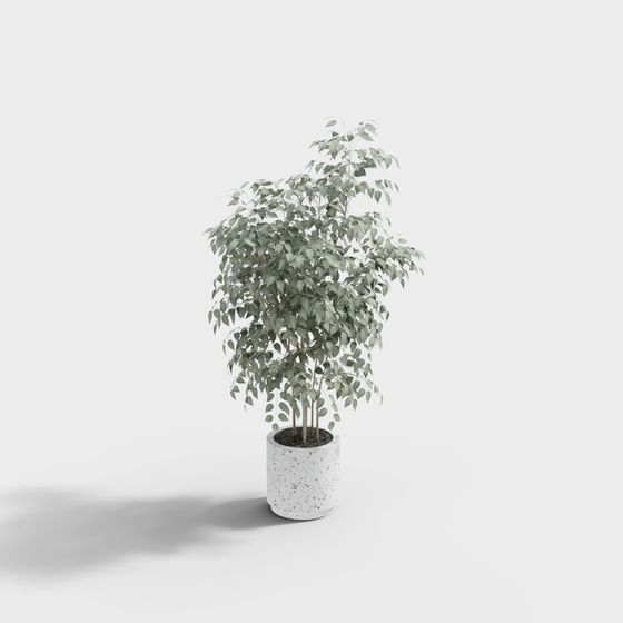 Современное кресло с пуфом и цветком