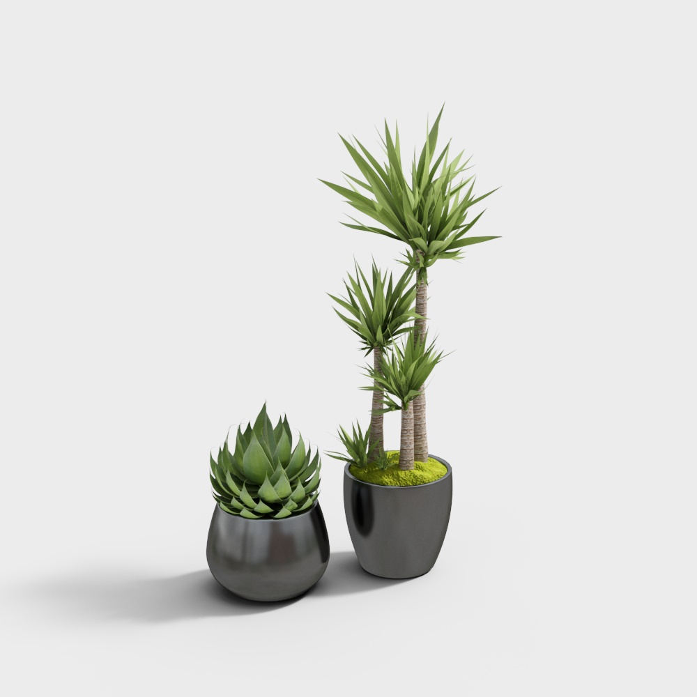 plantes vertes