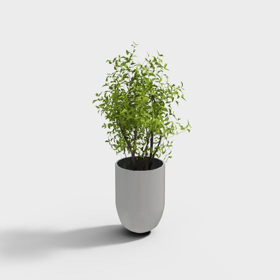 Urban Green Plant Pot 3D model