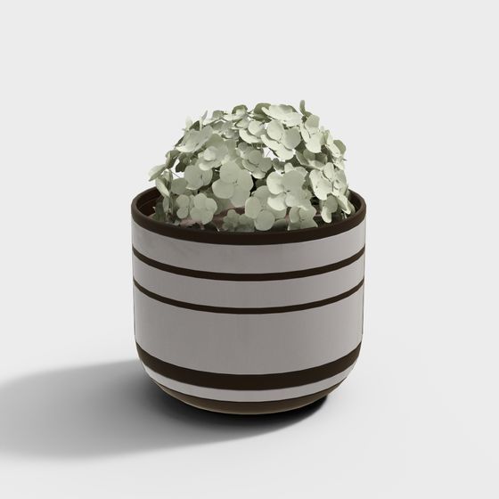 Hydrangea in Pot 3D model