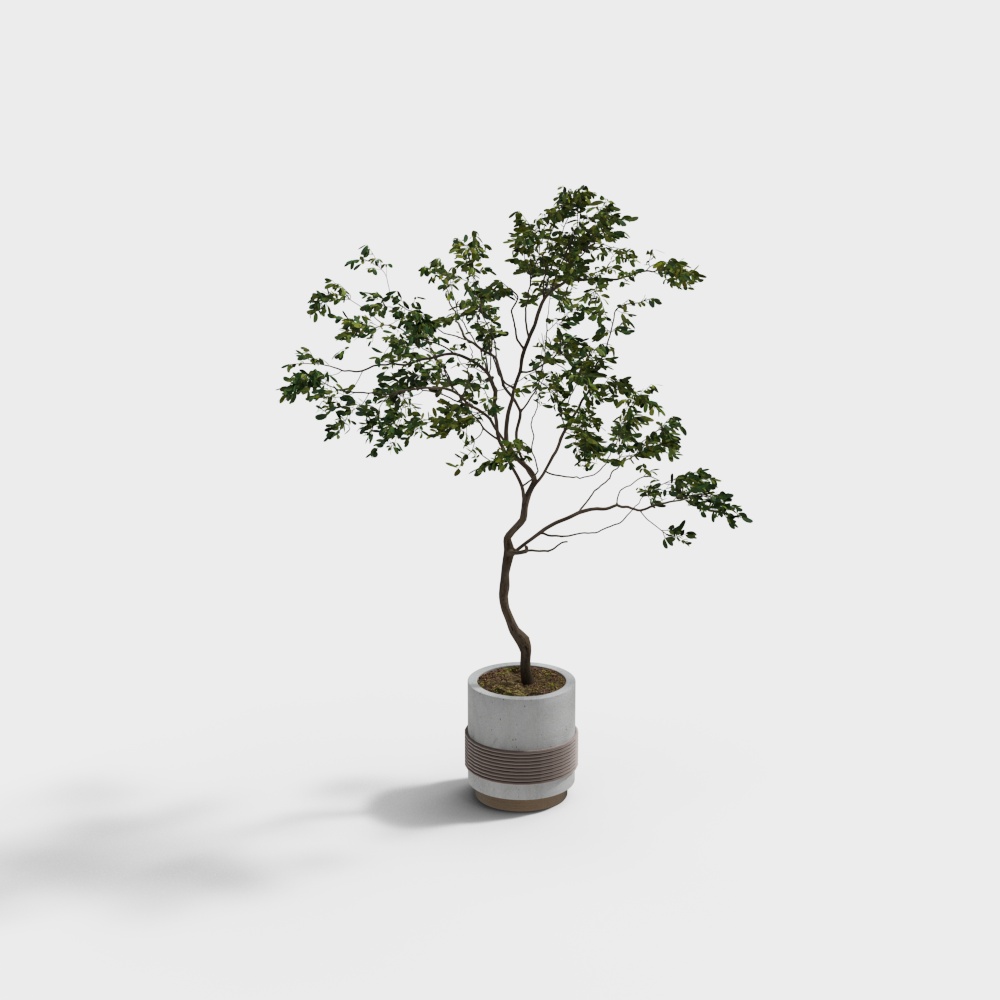 Urban Oasis Potted Plant 3D Model – Low-Poly Greenery