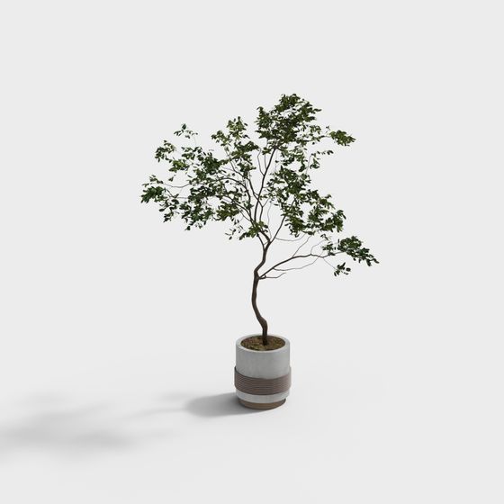 Urban Oasis Potted Plant 3D model