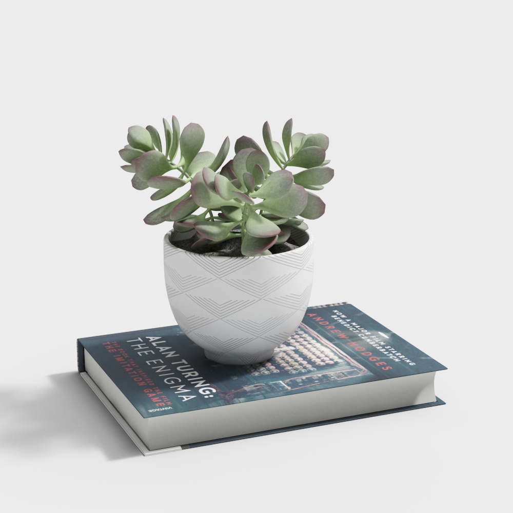 Ornements de plantes vertes