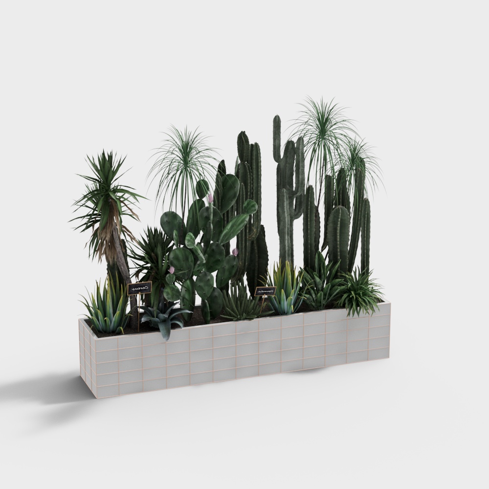 Desert Oasis Planter 3D Model – Low-Poly Desert Flora