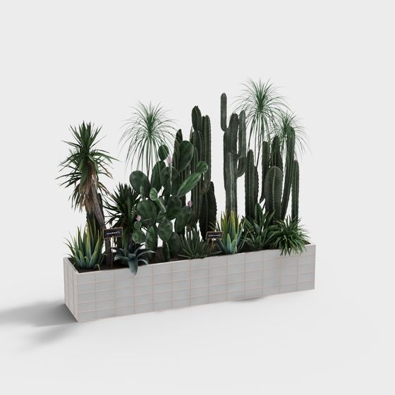 Desert Oasis Planter 3D model