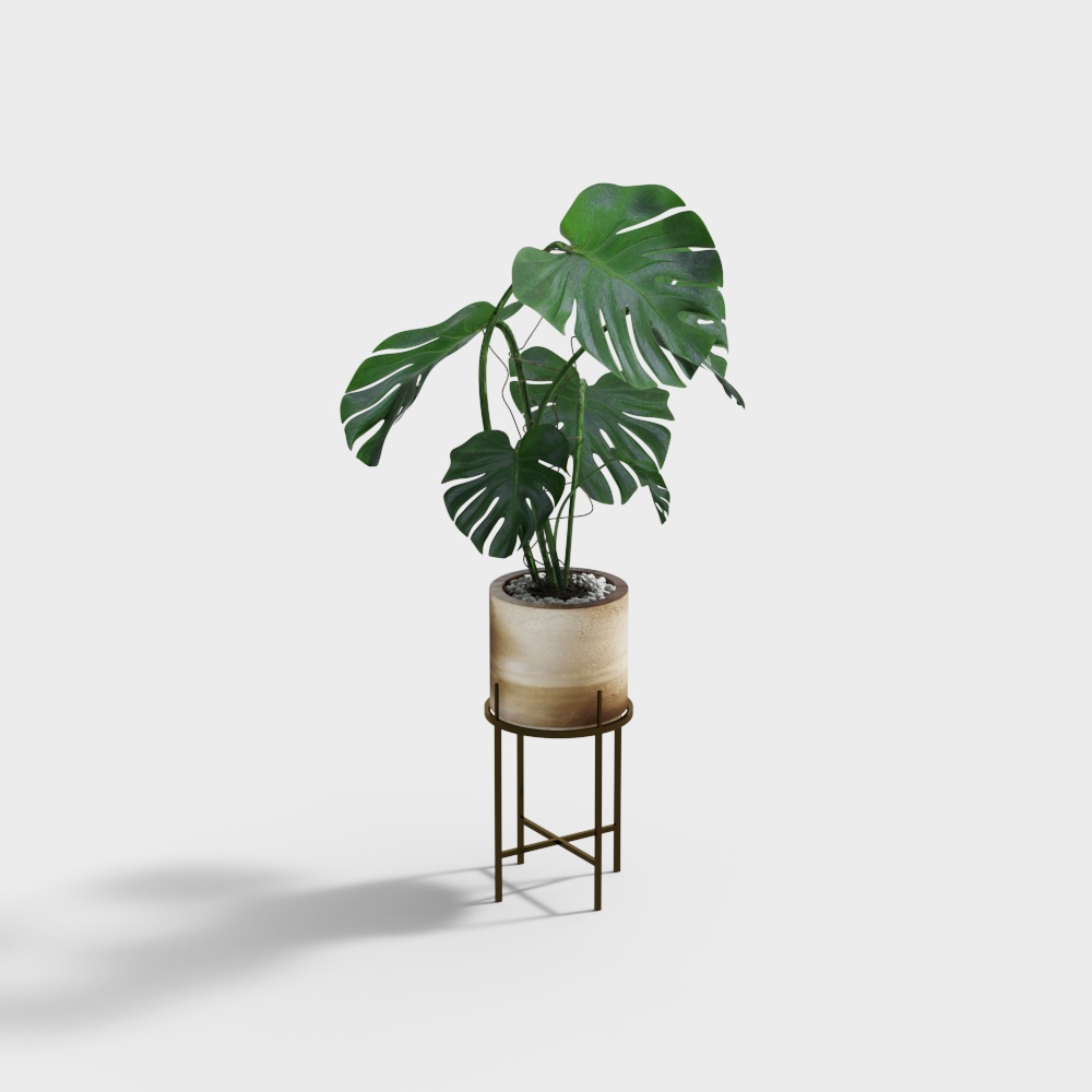 Monstera Deliciosa 3D Model – Low Polygon Plant Asset