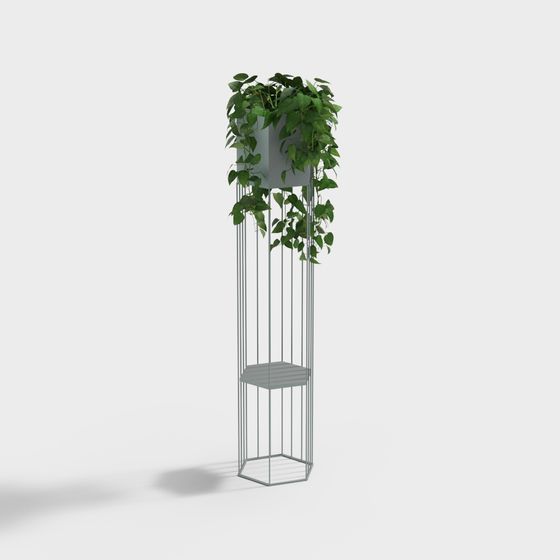 ポストモダンライトラグジュアリー チロアプタム大鉢植え