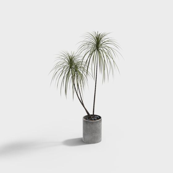 ร้านเสื้อผ้าผู้ชายโมเดิร์น-ลู่วิ่ง