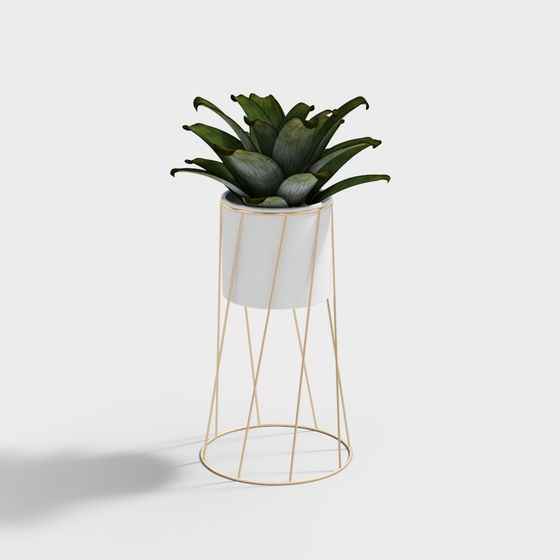 พืชสีเขียวของ Chlorophytum โบซัยในกระถางสไตล์หรูหราโพสต์โมเดิร์น