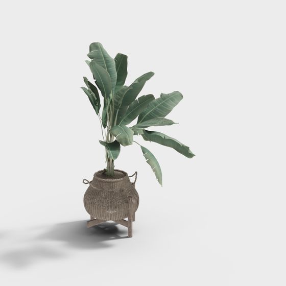 Tropical Style Plant Pot 3D Model