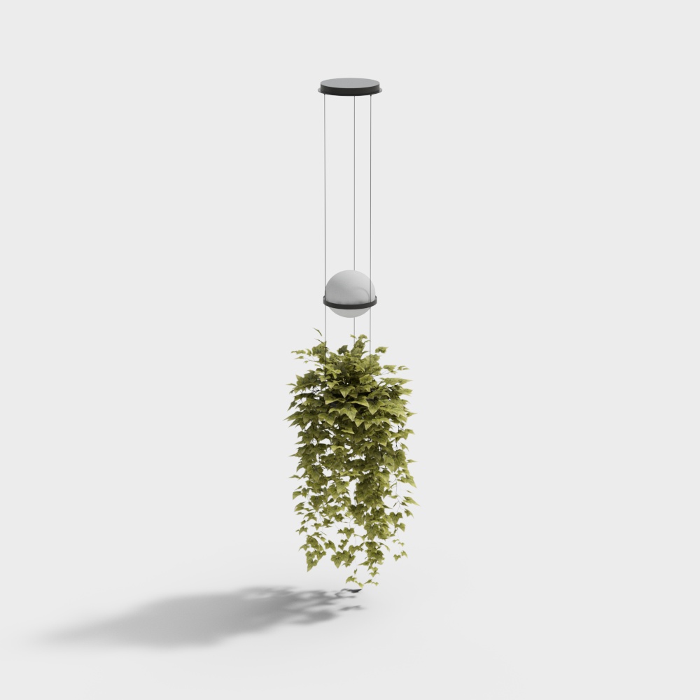 Modern green hanging basket