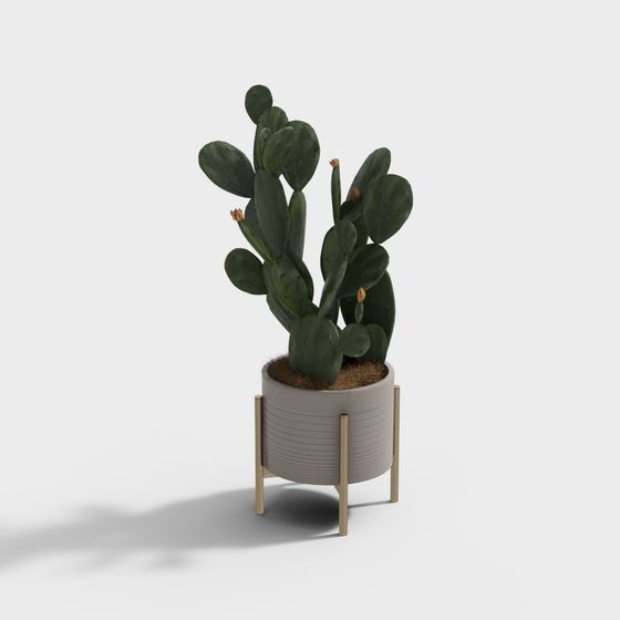 Desert Oasis Low-Poly Cactus 3D model