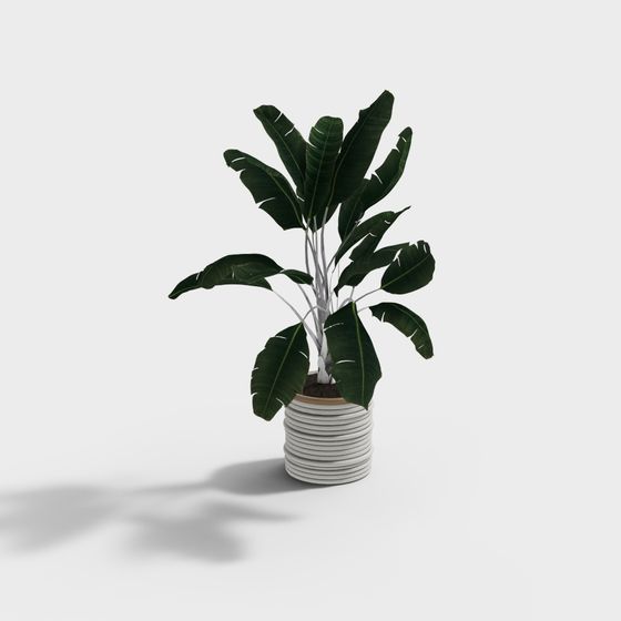 Tropical Banana Plant Low-Poly 3D model for Modern Spaces