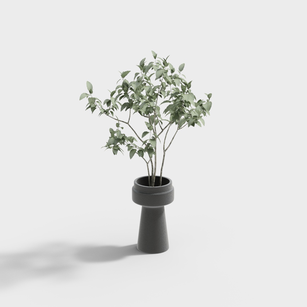 Phòng ngủ và phòng tắm B&B phong cách tự nhiên - Cây xanh