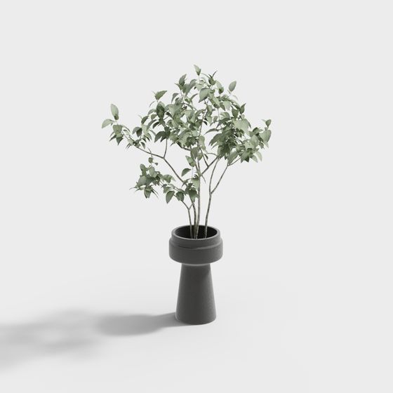 내추럴 스타일 B   B 침실 및 욕실 - 녹색 식물