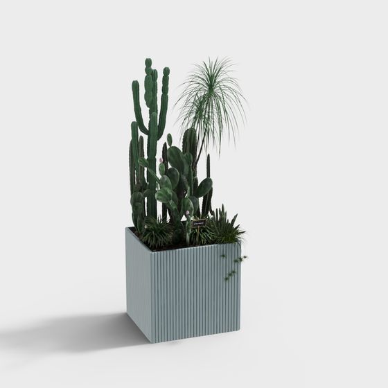 Chic Cactus Plant 3D Model in Blue Pot
