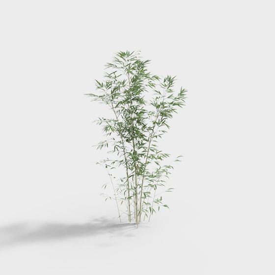 Lively Bamboo Grove 3D Model for Creative Projects