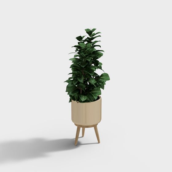 Elegant Low-Poly Plant Pot 3D model