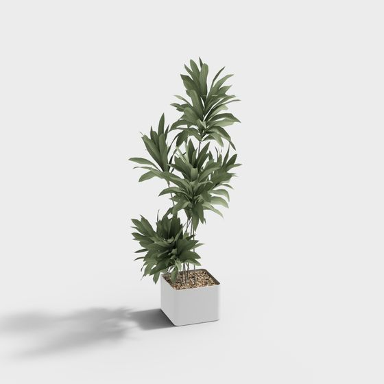 Tropical Style Potted Plant 3D model