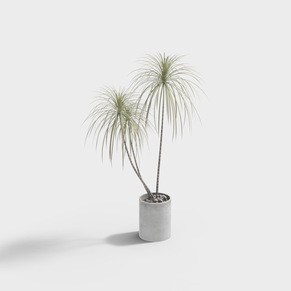 Urban Green Plant 3D model for Designers