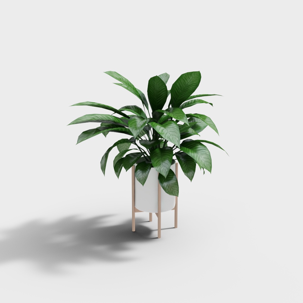 Vibrant Indoor Plant 3D Model – Low-Poly Green Foliage