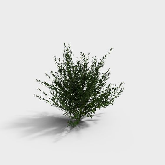 Forest Sprite 3D Model - Lively Low-Polygon Plant