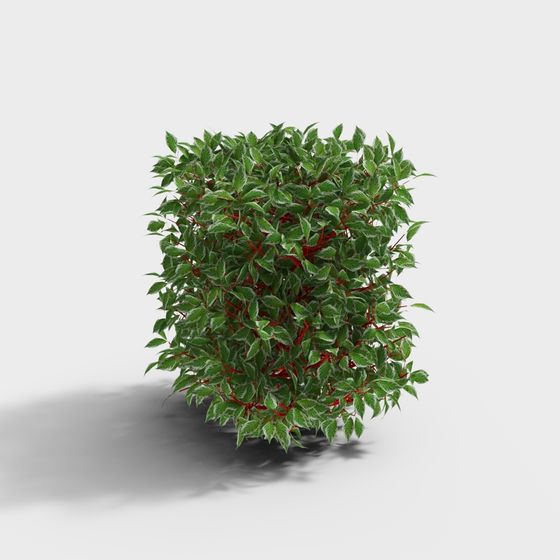 Planta verde en maceta moderna-1