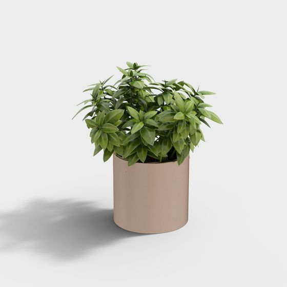 Urban Greenery 3D Model